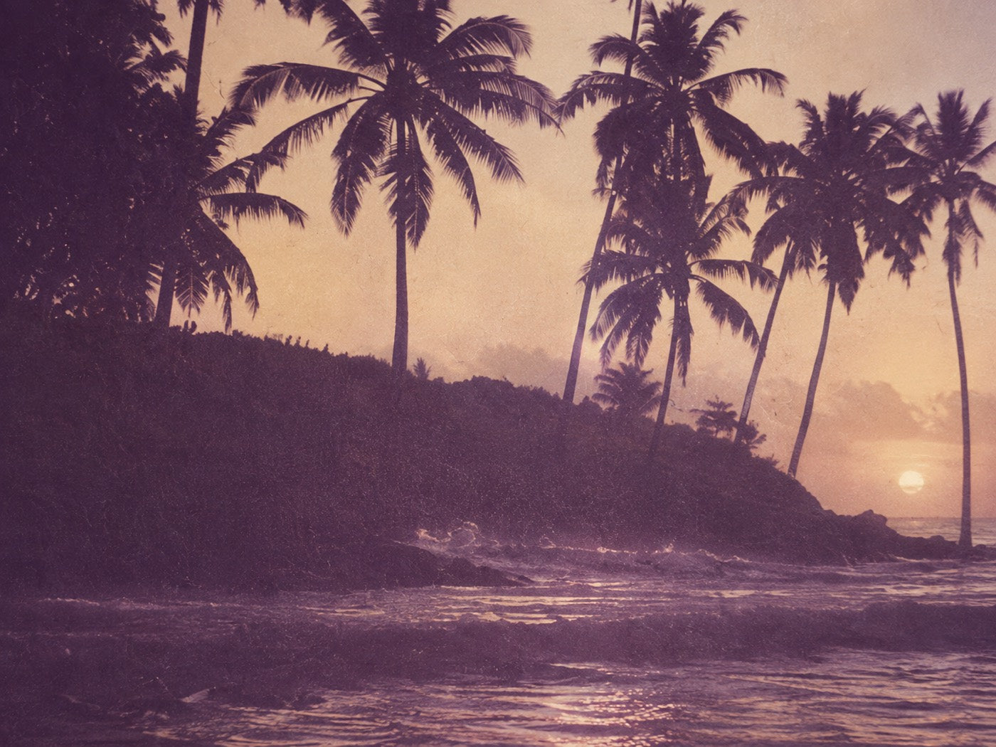 Palms silhouetted against a hazy sunset